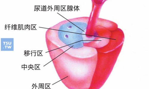 十七味填精胶囊好不好用-十七味填精胶囊好不好网 | 十七味填精胶囊饭前吃还是饭后吃,十七味填精胶囊有什么药代替吗